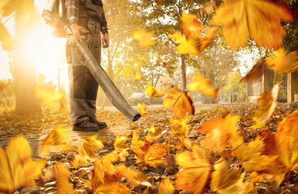 Leaf Blowing Service in Norristown