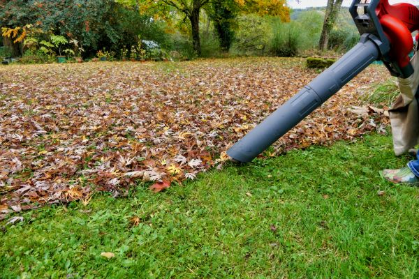 Leaf Vacuuming Service in Norristown