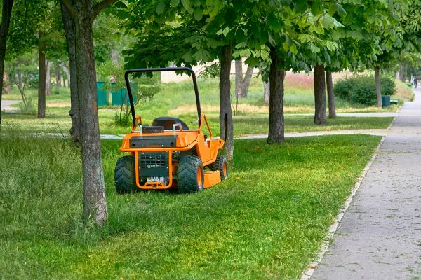 Landscaping Cleanup Service in Norristown