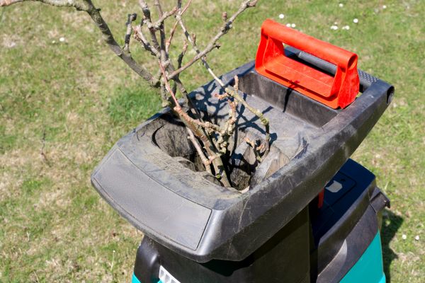 Cost of Brush Cleanup Service in Norristown