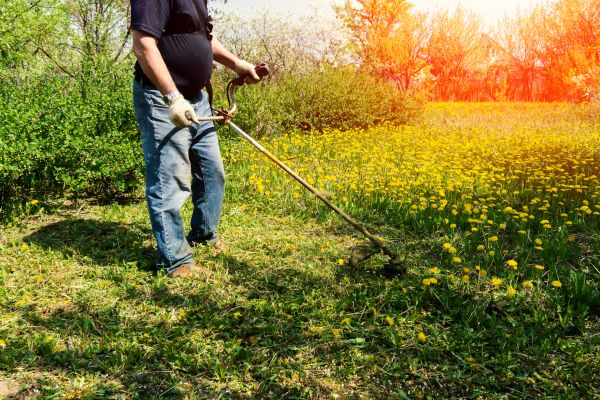 Yard Clearing Service in Norristown
