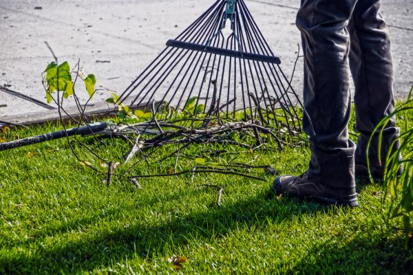 Yard Debris Cleanup in Norristown