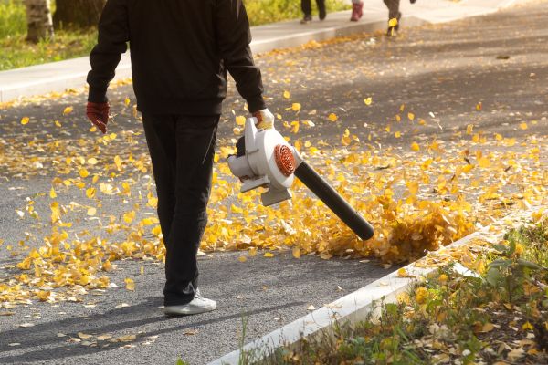 Commercial Leaf Removal in Norristown