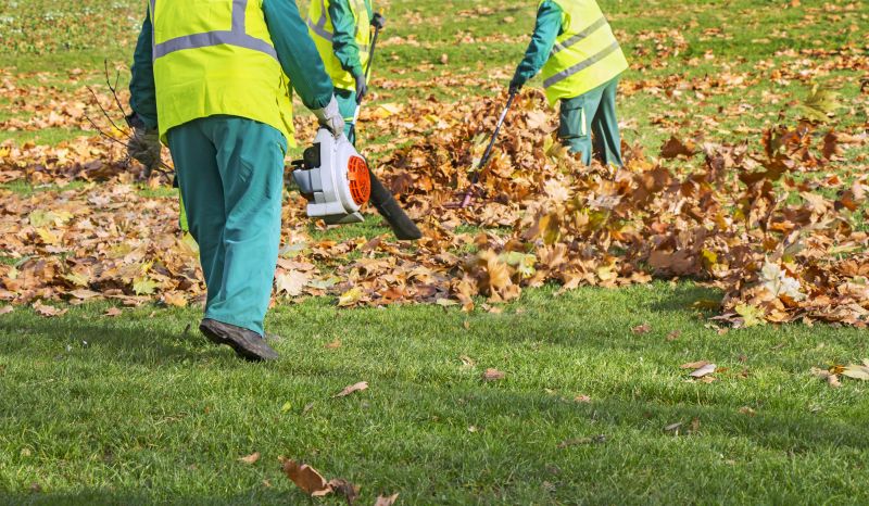 Leaf Blowing Methods