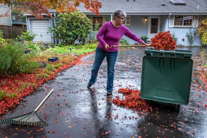 Fall Yard Cleanup Service